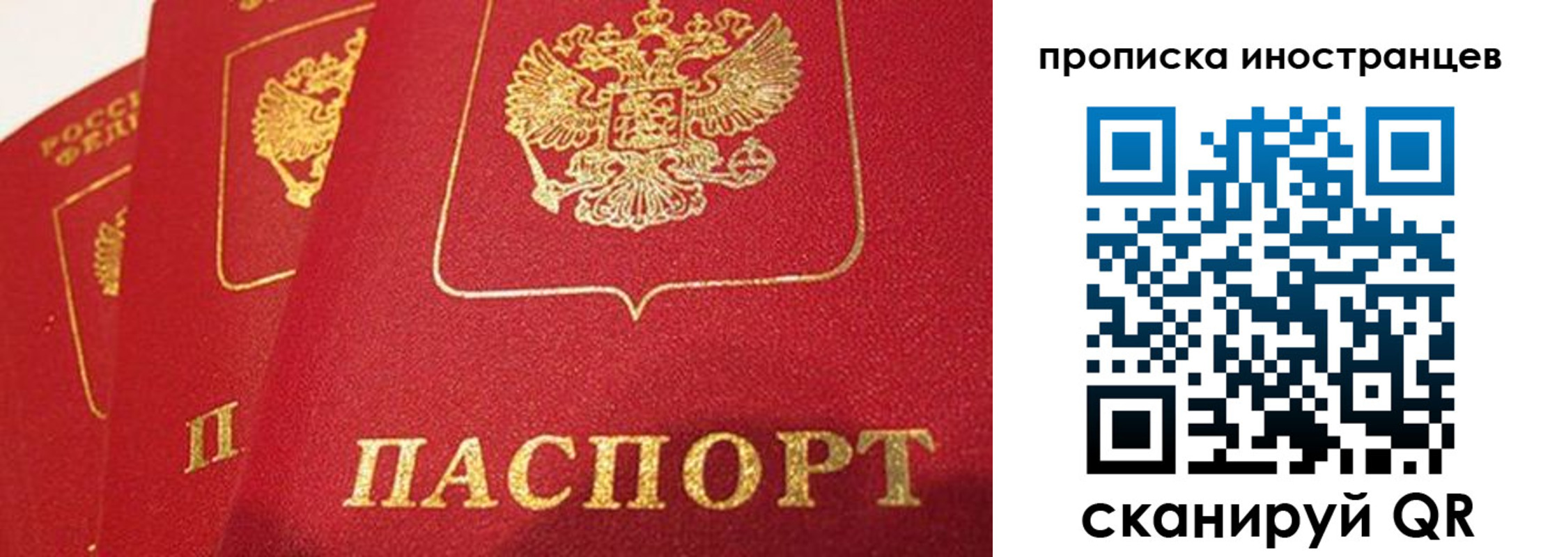 прописка поиск в Кеми